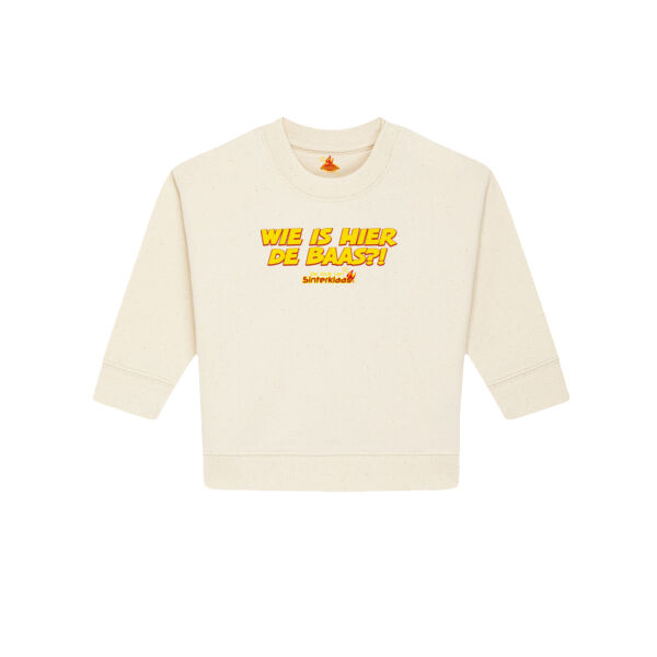 Wie is hier de Baas!? Baby Sweater Thumbnail